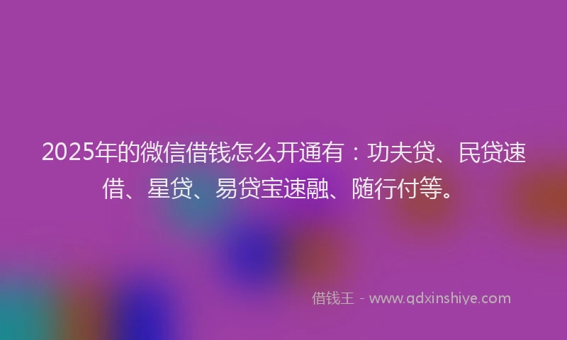 2025年的微信借钱怎么开通有：功夫贷、民贷速借、星贷、易贷宝速融、随行付等。