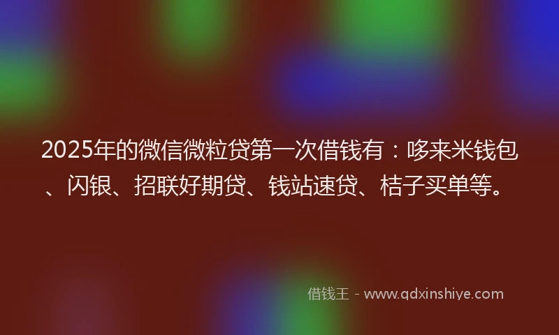 2025年的微信微粒贷第一次借钱有：哆来米钱包、闪银、招联好期贷、钱站速贷、桔子买单等。