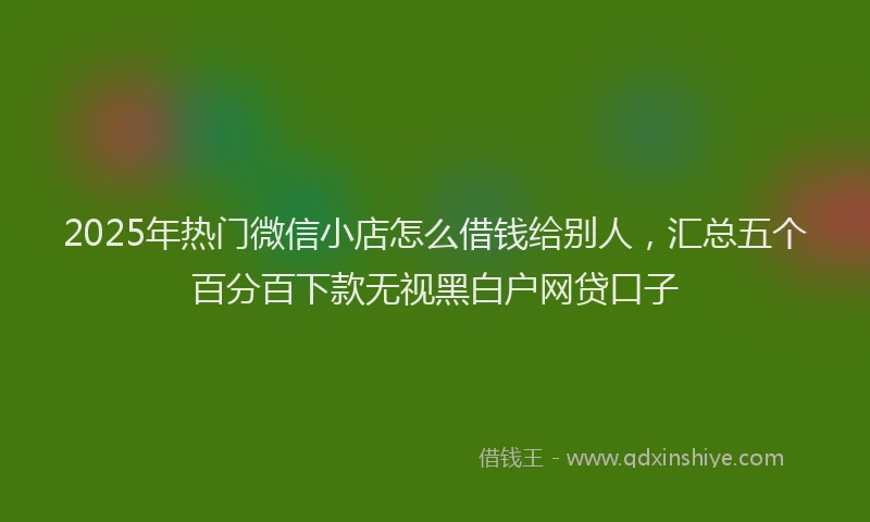 2025年热门微信小店怎么借钱给别人，汇总五个百分百下款无视黑白户网贷口子