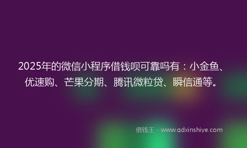 2025年的微信小程序借钱呗可靠吗有：小金鱼、优速购、芒果分期、腾讯微粒贷、瞬信通等。