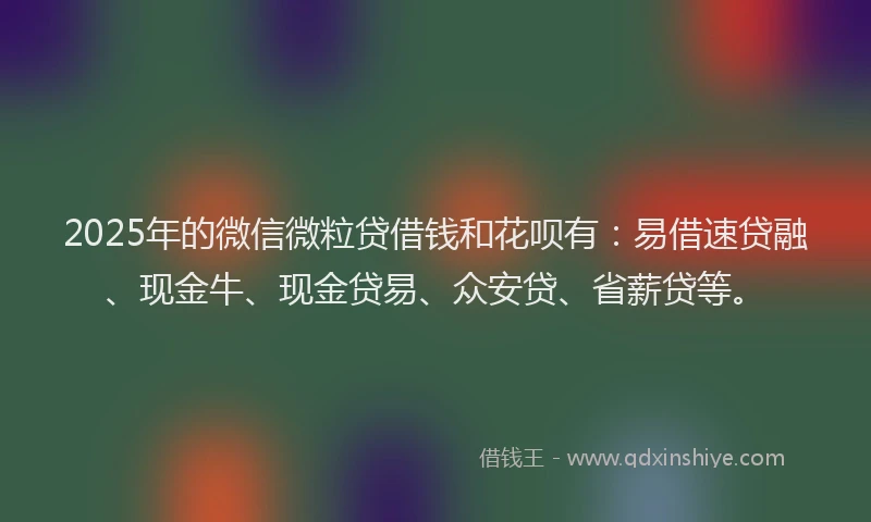 2025年的微信微粒贷借钱和花呗有：易借速贷融、现金牛、现金贷易、众安贷、省薪贷等。