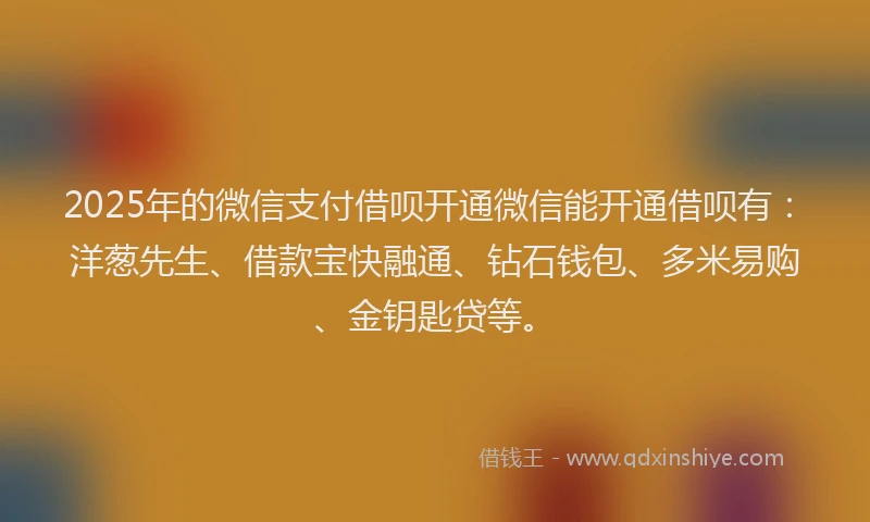 2025年的微信支付借呗开通微信能开通借呗有：洋葱先生、借款宝快融通、钻石钱包、多米易购、金钥匙贷等。