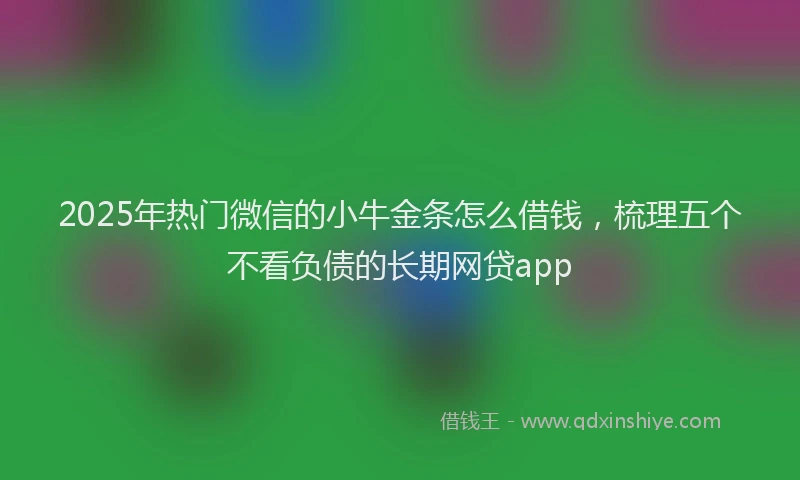 2025年热门微信的小牛金条怎么借钱，梳理五个不看负债的长期网贷app