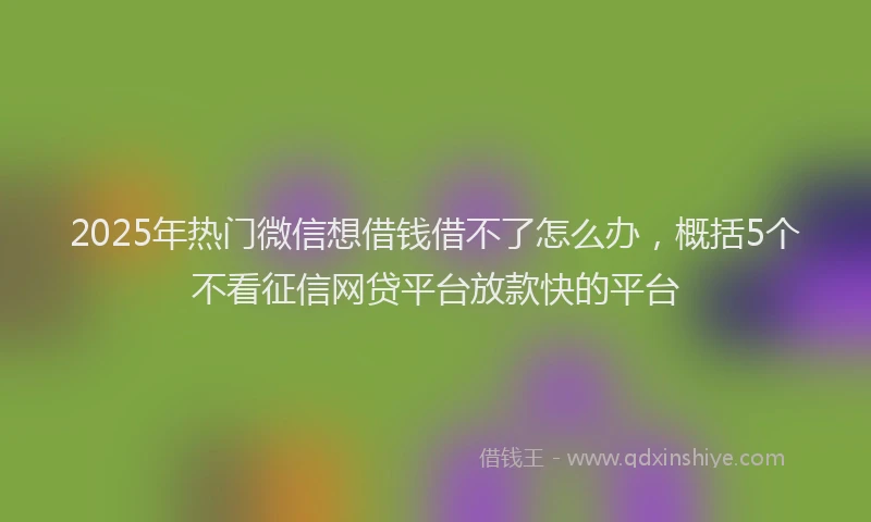 2025年热门微信想借钱借不了怎么办，概括5个不看征信网贷平台放款快的平台