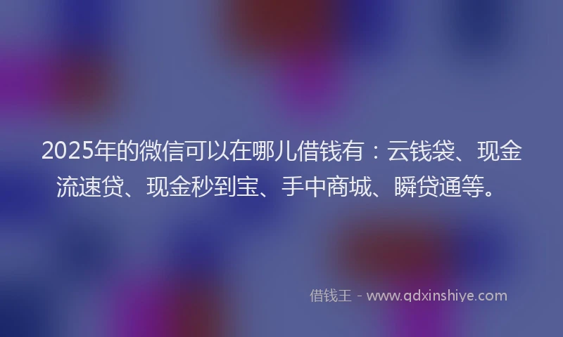 2025年的微信可以在哪儿借钱有：云钱袋、现金流速贷、现金秒到宝、手中商城、瞬贷通等。