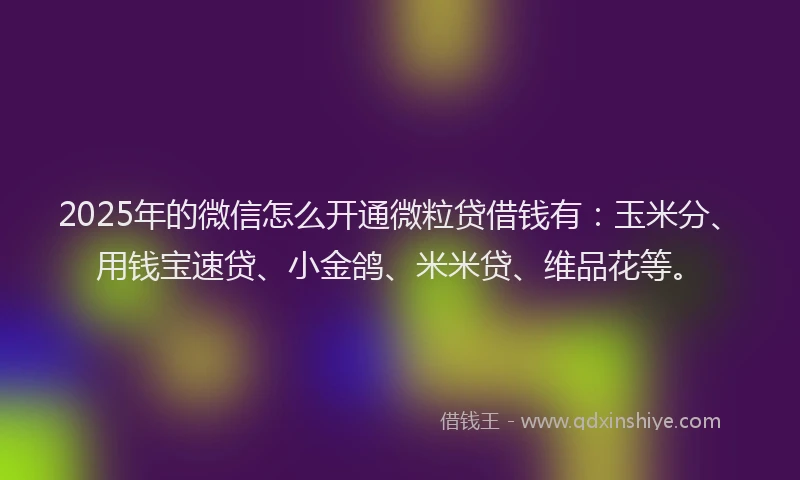 2025年的微信怎么开通微粒贷借钱有：玉米分、用钱宝速贷、小金鸽、米米贷、维品花等。