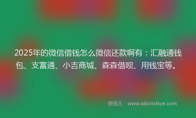 2025年的微信借钱怎么微信还款啊有：汇融通钱包、支富通、小吉商城、森森借呗、用钱宝等。