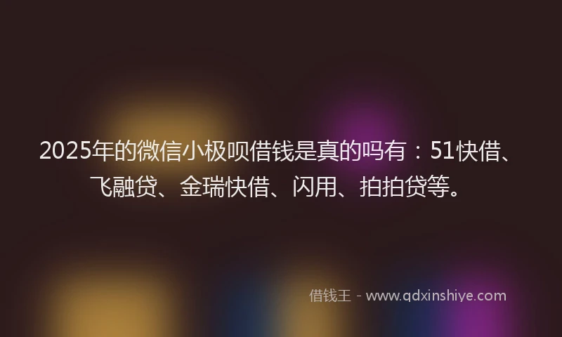 2025年的微信小极呗借钱是真的吗有：51快借、飞融贷、金瑞快借、闪用、拍拍贷等。