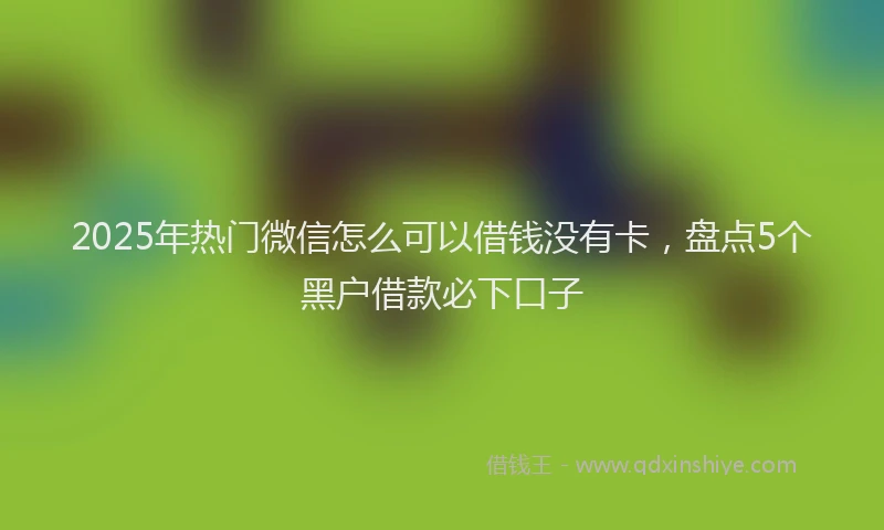 2025年热门微信怎么可以借钱没有卡，盘点5个黑户借款必下口子