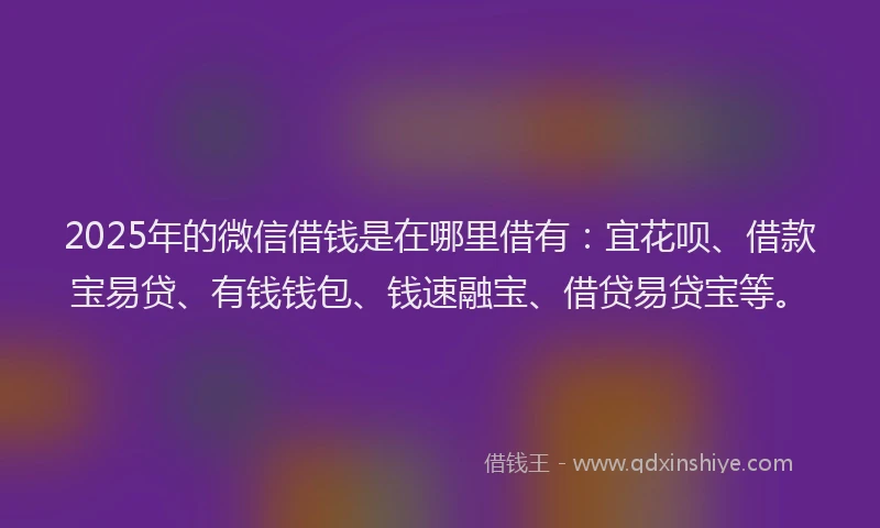 2025年的微信借钱是在哪里借有：宜花呗、借款宝易贷、有钱钱包、钱速融宝、借贷易贷宝等。