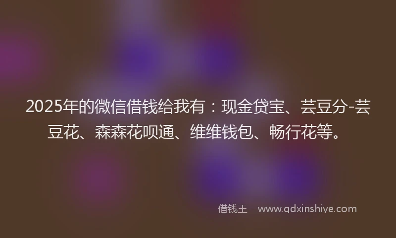2025年的微信借钱给我有：现金贷宝、芸豆分-芸豆花、森森花呗通、维维钱包、畅行花等。