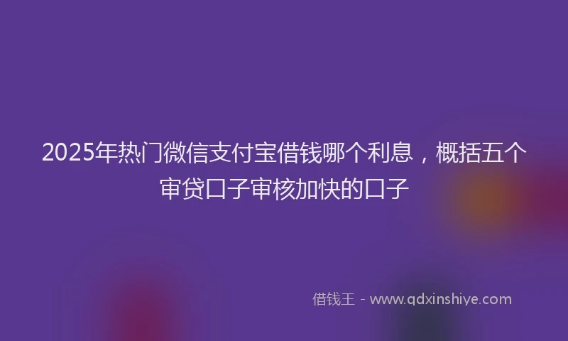 2025年热门微信支付宝借钱哪个利息，概括五个审贷口子审核加快的口子