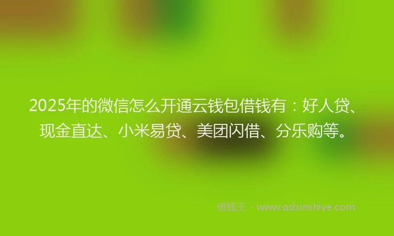 2025年的微信怎么开通云钱包借钱有：好人贷、现金直达、小米易贷、美团闪借、分乐购等。