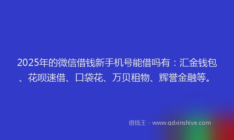 2025年的微信借钱新手机号能借吗有：汇金钱包、花呗速借、口袋花、万贝租物、辉誉金融等。