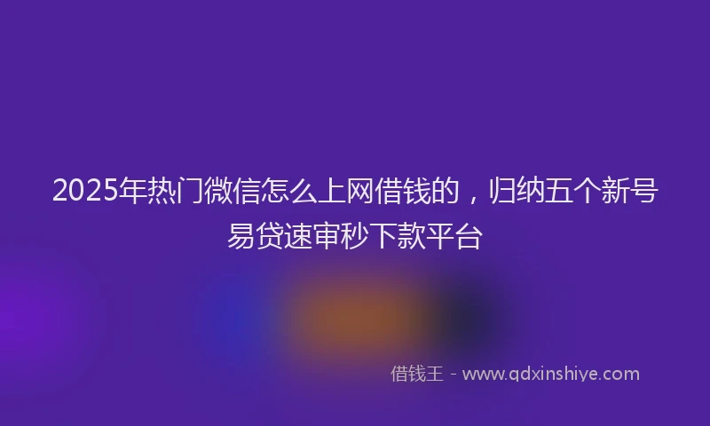 2025年热门微信怎么上网借钱的，归纳五个新号易贷速审秒下款平台
