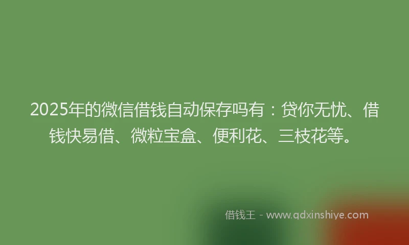 2025年的微信借钱自动保存吗有：贷你无忧、借钱快易借、微粒宝盒、便利花、三枝花等。