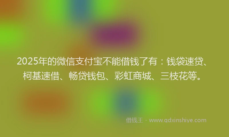 2025年的微信支付宝不能借钱了有：钱袋速贷、柯基速借、畅贷钱包、彩虹商城、三枝花等。