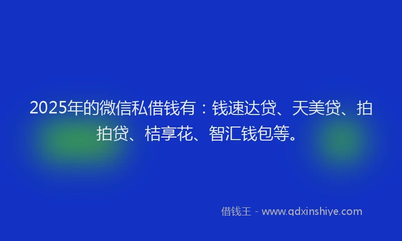 2025年的微信私借钱有：钱速达贷、天美贷、拍拍贷、桔享花、智汇钱包等。