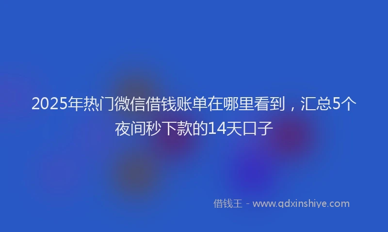 2025年热门微信借钱账单在哪里看到，汇总5个夜间秒下款的14天口子