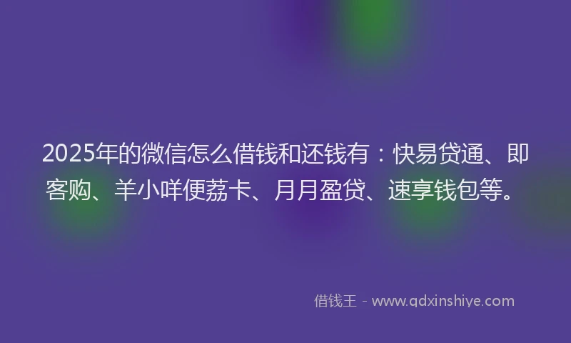 2025年的微信怎么借钱和还钱有：快易贷通、即客购、羊小咩便荔卡、月月盈贷、速享钱包等。