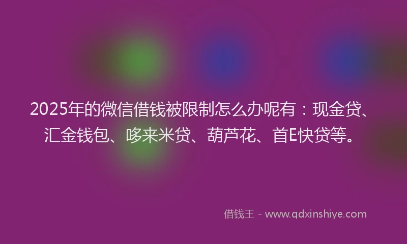 2025年的微信借钱被限制怎么办呢有：现金贷、汇金钱包、哆来米贷、葫芦花、首E快贷等。