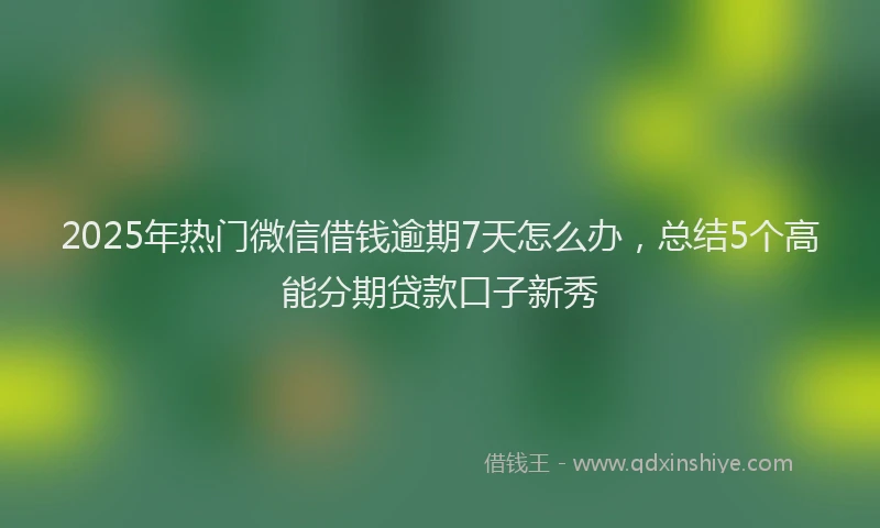 2025年热门微信借钱逾期7天怎么办，总结5个高能分期贷款口子新秀