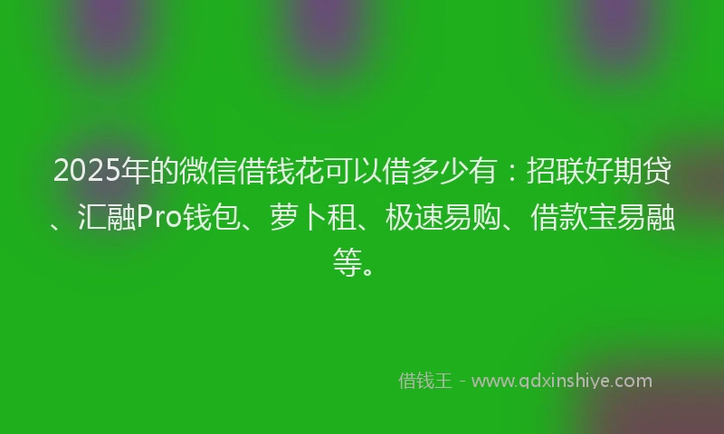 2025年的微信借钱花可以借多少有：招联好期贷、汇融Pro钱包、萝卜租、极速易购、借款宝易融等。