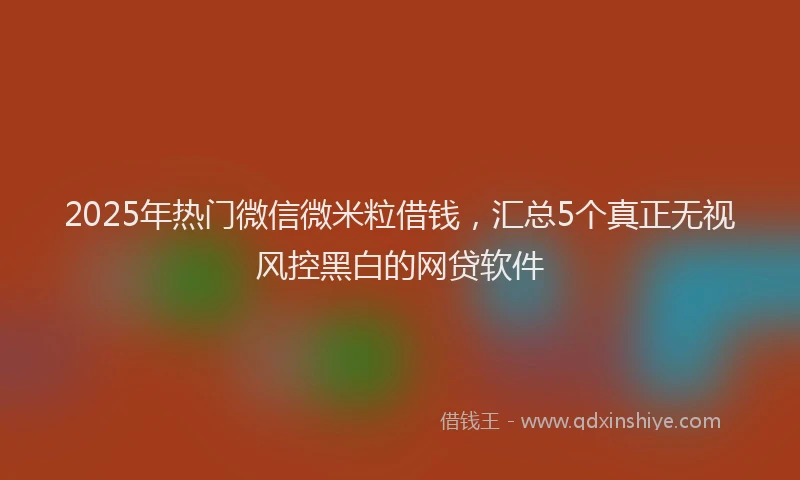 2025年热门微信微米粒借钱，汇总5个真正无视风控黑白的网贷软件