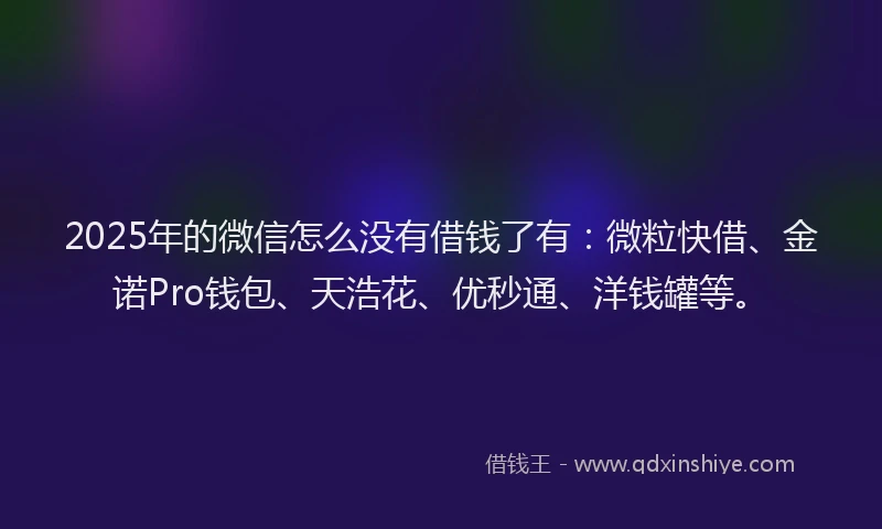 2025年的微信怎么没有借钱了有：微粒快借、金诺Pro钱包、天浩花、优秒通、洋钱罐等。