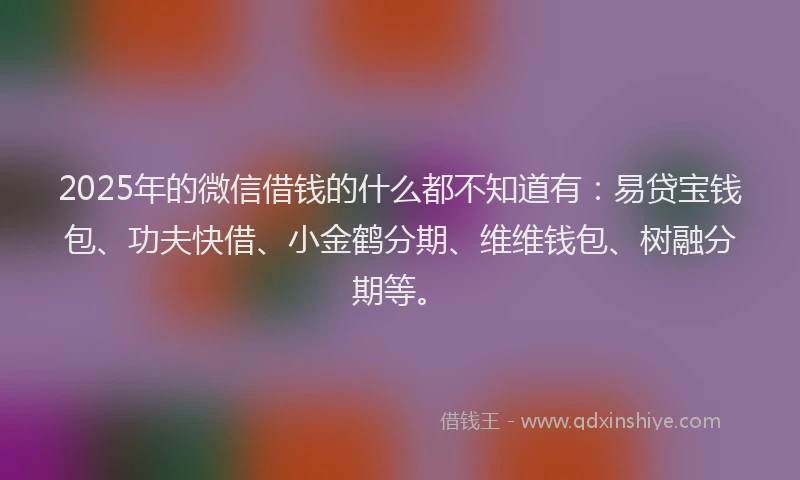 2025年的微信借钱的什么都不知道有：易贷宝钱包、功夫快借、小金鹤分期、维维钱包、树融分期等。