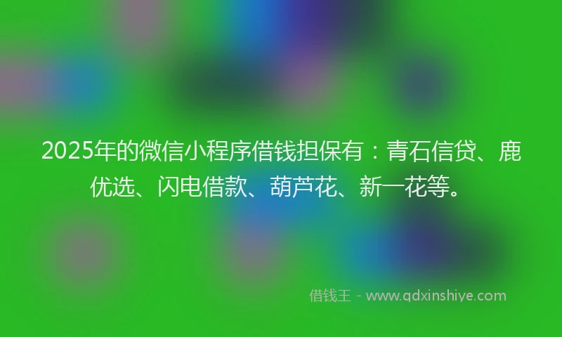 2025年的微信小程序借钱担保有：青石信贷、鹿优选、闪电借款、葫芦花、新一花等。