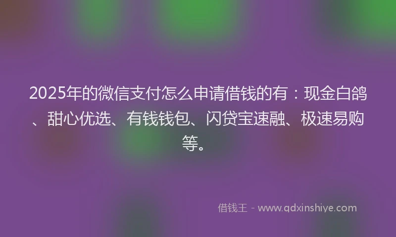 2025年的微信支付怎么申请借钱的有：现金白鸽、甜心优选、有钱钱包、闪贷宝速融、极速易购等。