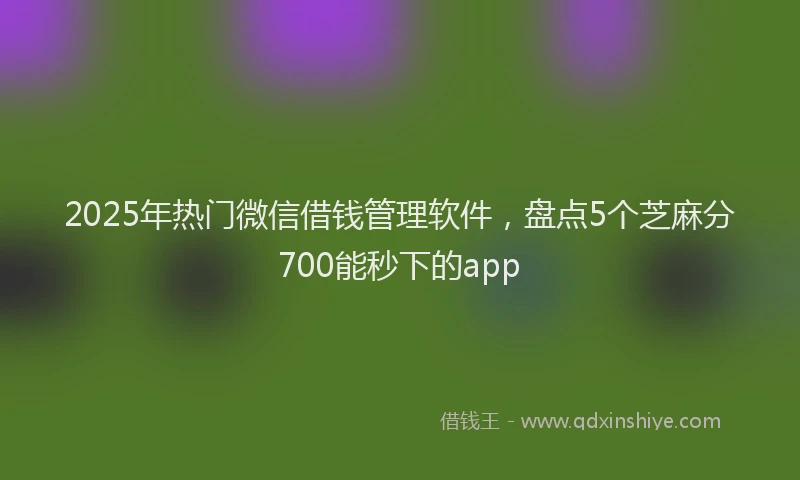 2025年热门微信借钱管理软件，盘点5个芝麻分700能秒下的app