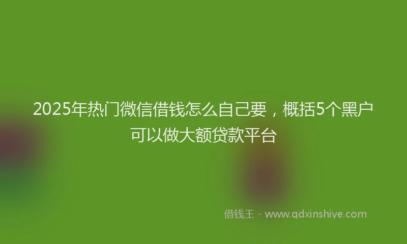 2025年热门微信借钱怎么自己要，概括5个黑户可以做大额贷款平台