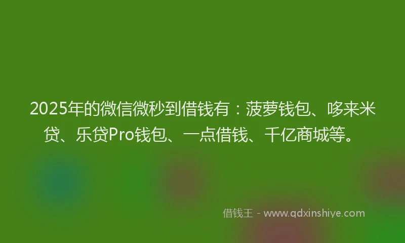 2025年的微信微秒到借钱有：菠萝钱包、哆来米贷、乐贷Pro钱包、一点借钱、千亿商城等。