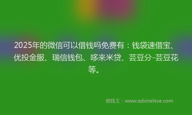 2025年的微信可以借钱吗免费有：钱袋速借宝、优投金服、瑞信钱包、哆来米贷、芸豆分-芸豆花等。