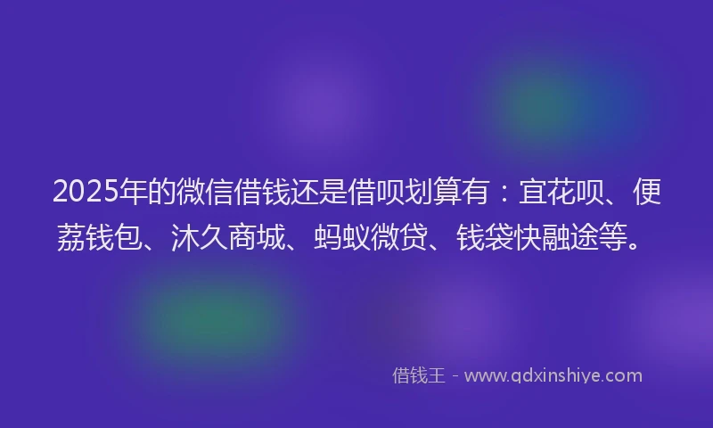 2025年的微信借钱还是借呗划算有：宜花呗、便荔钱包、沐久商城、蚂蚁微贷、钱袋快融途等。