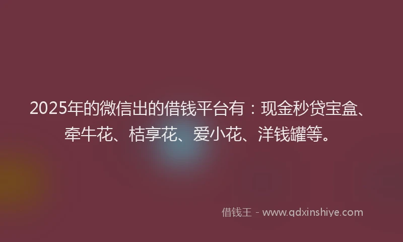 2025年的微信出的借钱平台有：现金秒贷宝盒、牵牛花、桔享花、爱小花、洋钱罐等。