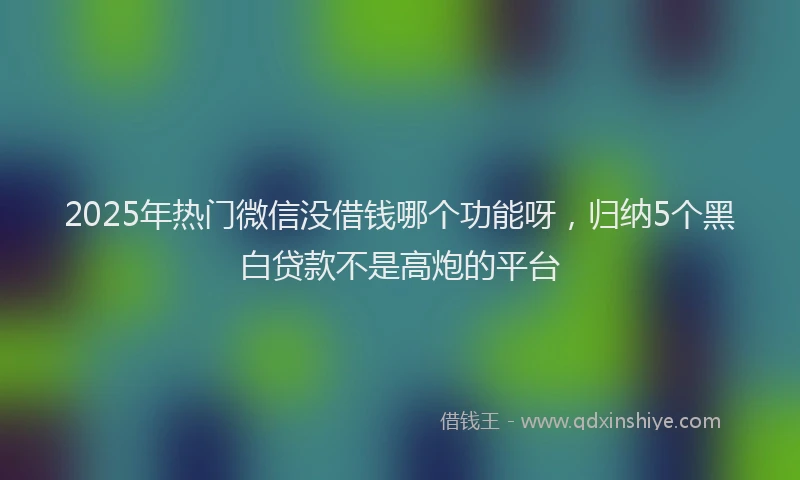 2025年热门微信没借钱哪个功能呀，归纳5个黑白贷款不是高炮的平台