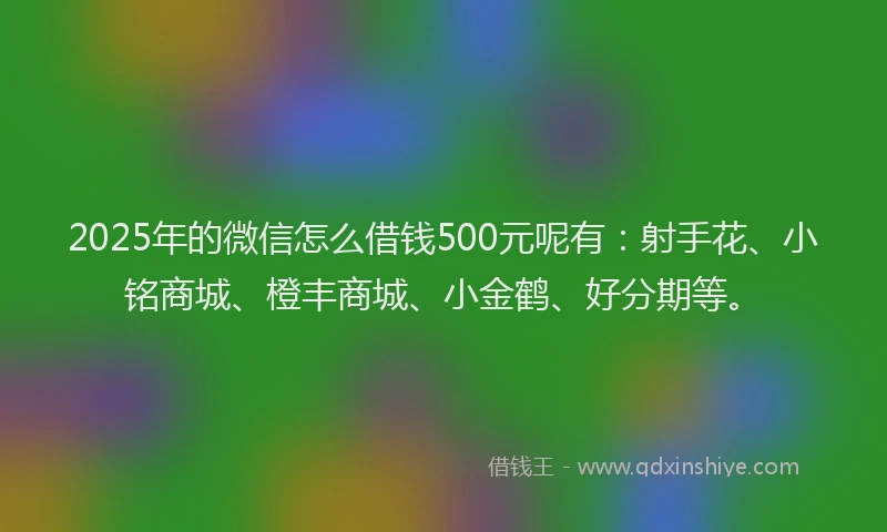 2025年的微信怎么借钱500元呢有：射手花、小铭商城、橙丰商城、小金鹤、好分期等。
