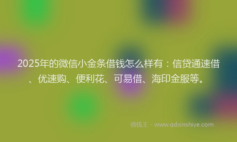 2025年的微信小金条借钱怎么样有：信贷通速借、优速购、便利花、可易借、海印金服等。