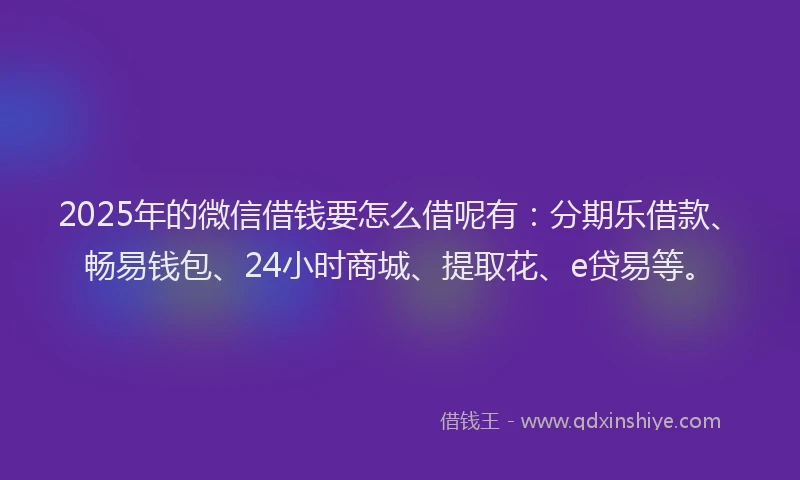 2025年的微信借钱要怎么借呢有：分期乐借款、畅易钱包、24小时商城、提取花、e贷易等。