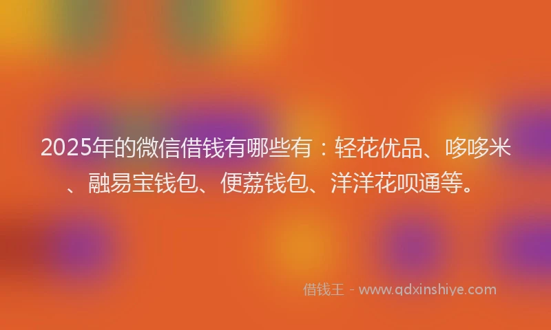 2025年的微信借钱有哪些有：轻花优品、哆哆米、融易宝钱包、便荔钱包、洋洋花呗通等。