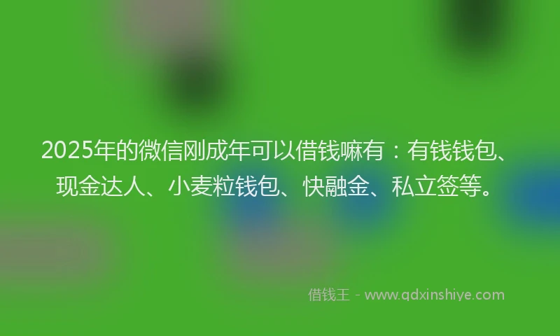 2025年的微信刚成年可以借钱嘛有：有钱钱包、现金达人、小麦粒钱包、快融金、私立签等。