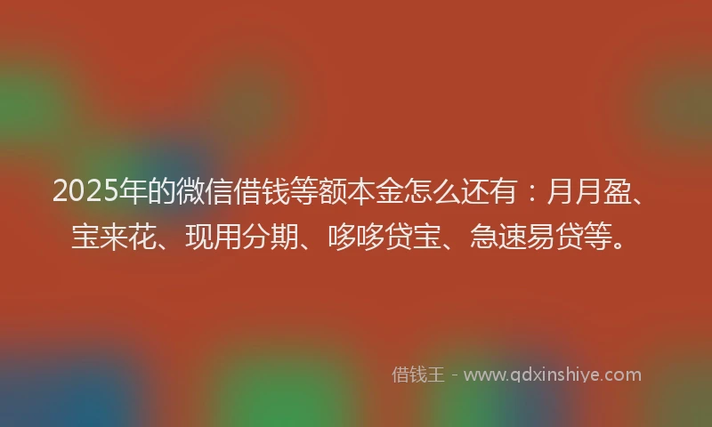 2025年的微信借钱等额本金怎么还有：月月盈、宝来花、现用分期、哆哆贷宝、急速易贷等。