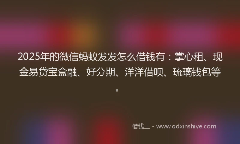 2025年的微信蚂蚁发发怎么借钱有：掌心租、现金易贷宝盒融、好分期、洋洋借呗、琉璃钱包等。