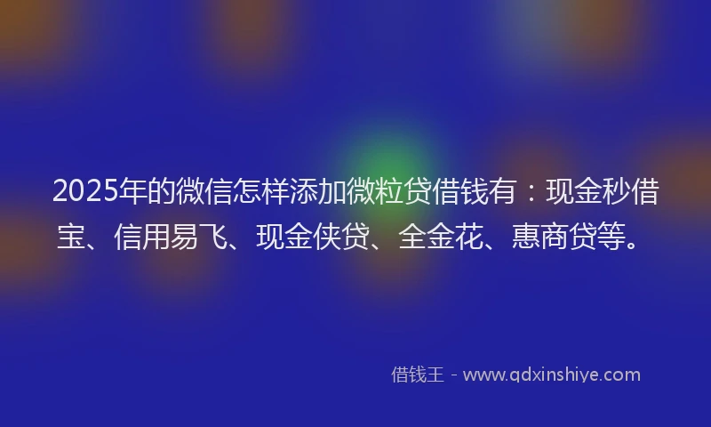 2025年的微信怎样添加微粒贷借钱有：现金秒借宝、信用易飞、现金侠贷、全金花、惠商贷等。