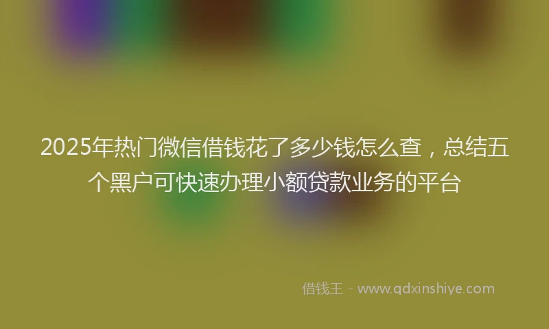 2025年热门微信借钱花了多少钱怎么查，总结五个黑户可快速办理小额贷款业务的平台