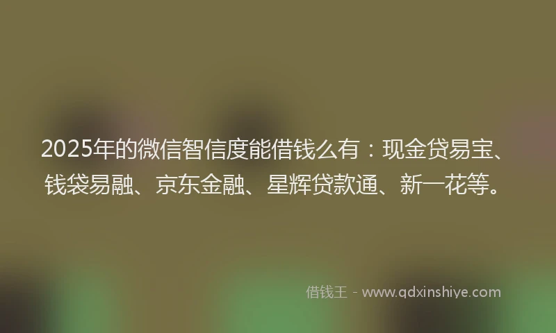 2025年的微信智信度能借钱么有：现金贷易宝、钱袋易融、京东金融、星辉贷款通、新一花等。
