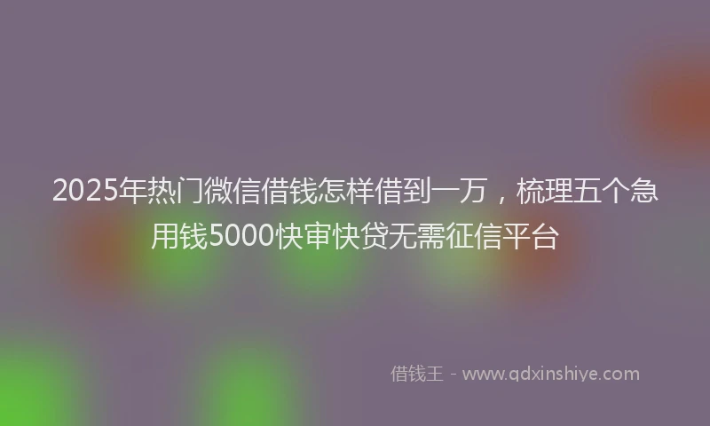 2025年热门微信借钱怎样借到一万，梳理五个急用钱5000快审快贷无需征信平台